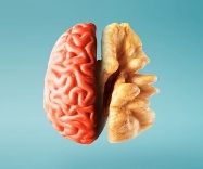 Neuro Medicine Specialist